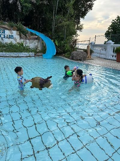 ddf8a16d-6439-4113-894c-76064e0c1b47